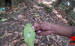 Comi a novinha gostosa no mato