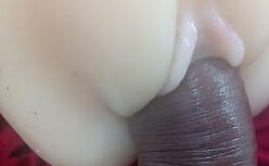 Contos rroticos gay dotado comendo a buceta lisinha da puta