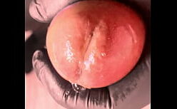 Izsjuhentai transando com homem safado na webcam