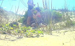 Nude noah centineo na buceta da novinha